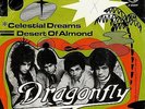 Dragonfly Celestial dreams 1st 45 Dutch LSD Psych Freakbeat 45 MONSTER PS LSTN