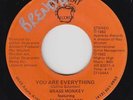 Funk Boogie 45 - Brass Monkey & Flora Wilson - You Are Everything - Appleray mp3