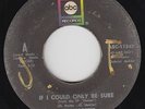 Northern Soul 45 - Nolan Porter - If I Could Only Be Sure - ABC - mp3