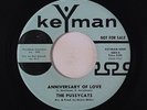 PUSSYCATS: Anniversary Of Love / Mickey Mouse March 45 rare Vocal Groups