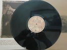 PIXIES - Surfer Rosa   VINYL LP GOLD INNER SLEEVE