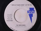 NEWCOMERS: Open Up Your Heart / Girl, This Boy Loves You 45 (dj, label smudge)