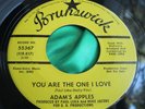 Hear Rare Northern Soul 45 : Adam's Apples   You Are The One I Love   Brunswick