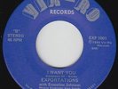 70s Soul 45 - Exportations - I Want You - Vir-Ro - VG+ mp3