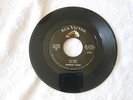 THE MORGAN TWINS 45 TV HOP GREAT TEEN ROCKER ON RCA 47-7300