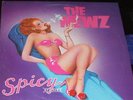 THE NEWZ Spicy Stories LP RARE PRIVATE NORTH DAKOTA ND 80s ROCK AOR SEXY COVER