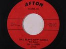 STRANGERS: This Brave New World / In The Beginning 45 (sl storage warp) rare Ol