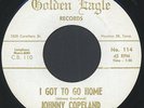 JOHNNY COPELAND: I Got To Go Home / Working Man's Blues 45 rare Soul
