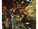AP | Creedence Clearwater Revival - CCR - Bayou Country 200g LP NEU