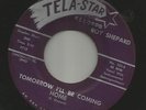 ROCKABILLY BOPPER- ROY SHEPARD-  W/ 1ST FLIP-  --HEAR BOTH- 1963 RITE- TELA-STAR
