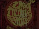 THE DEVIL'S BLOOD - The Time of No Time Evermore  DLP
