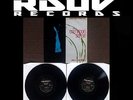 COMMON SENSE - RESURRECTION - 2 LP VINYL 12