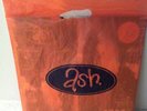 Ash 1977 Vinyl LP