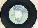 DON & THE GALAXIEX   Avalanche/Sundown   surf/garage   FOX FIDEL