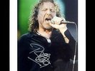 *RARE - LED ZEPPELIN - ROBERT PLANT - HAND SIGNED ORIGINAL AUTOGRAPH