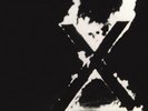 X - Los Angeles
