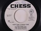 WALTER WEBB & HIGHLIGHTERS: Your Time Is Gonna Come / Lulu 45 (dj, sm wol) rare