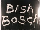 SCOTT WALKER: Bish Bosch LP Sealed (2 LPs, 180 gram pressing, booklet & code fo
