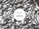 Andy Shauf - Bearer of Bad News