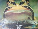 FROGGIE BEAVER 