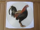 KING KURT Big Cock STIFF LP PICTURE DISC RARE 1986 CRAMPS METEORS PSYCHOBILLY