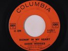 EDDIE HODGES: Rainin' In My Heart / Halfway 45 Oldies