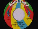 LITTLE MR. LEE & CHEROKEES: Young Lover / I Don't Want To Go 45 Soul