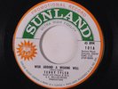 TERRY TYLER: Wish Around A Wishing Well / Beginning Of The End 45 (dj, w/ compa