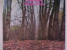 TWINK: Think Pink LP (Italy, 180 gram pressing reissue, gatefold cover) Rock &