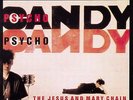 THE JESUS AND & MARY CHAIN Psychocandy Psycho Candy 180gm Vinyl LP NEW & SEALED
