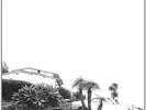 Hot Dreams [VINYL] Timber Timbre Vinyl