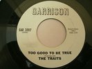 The Traits  45 Promo Record  Too Good To Be True   Garrison  NM