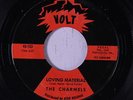 CHARMELS: Loving Material / I'll Gladly Take You Back 45 Soul