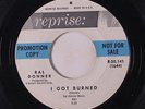 RAL DONNER: I Got Burned / A Tear In My Eye 45 (dj) Oldies