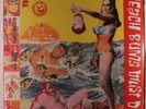 THEE HEADCOATS: Beach Bums Must Die LP Sealed (repress) Rock & Pop