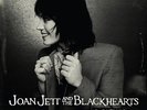 Greatest Hits - 2 DISC SET - Joan & The Blackhearts Jett (2010, Vinyl NEW)