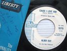 ALDER RAY Cause I Love Him A Little Love WHITE LABEL PROMO 45 Phil Spector w304