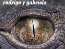Rodrigo Y Gabriela - S/T Debut 180g vinyl LP NEW/SEALED
