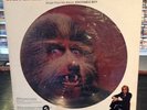 Warren Zevon picture disc  - Werewolves of London - 1978 Asylum 12