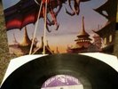 Predator Bitches Sin LP