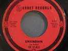 The Vy-Dels Unknown Arnet  Rare Chicago Garage Surf 45