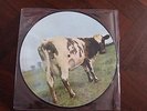 Pink Floyd Atom Heart Mother Picture Disc