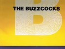 The Buzzcocks - The Peel Sessions Album / UK Ungespielt 1989