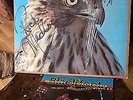 Blackfoot Marauder Autographed Vinyl LP