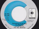 Canada  Psych Fuzz 45  - The WEE BEASTIES - Something To Do With The Weather