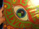 The 13th Floor Elevators
