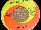 KILLER 1960s Fuzz Garage Rock 45 - THE SHAG 
