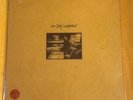 Tom Petty / Wildflowers 2X Vinyl Lp