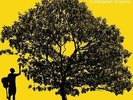 JACK JOHNSON-IN BETWEEN DREAMS-VINYL LP UNIVERSAL NEW
