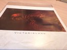 Cocteau Twins Victorialand LP OrigInal 1986 4AD CAD 602 early copy (momentum)